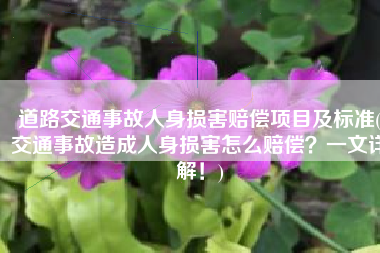 道路交通事故人身损害赔偿项目及标准(交通事故造成人身损害怎么赔偿？一文详解！)