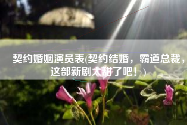 契约婚姻演员表(契约结婚，霸道总裁，这部新剧太甜了吧！)