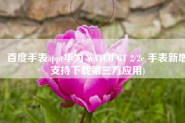 百度手表app(华为 WATCH GT 2/2e 手表新增支持下载第三方应用)