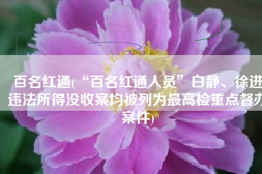 百名红通(“百名红通人员”白静、徐进违法所得没收案均被列为最高检重点督办案件)