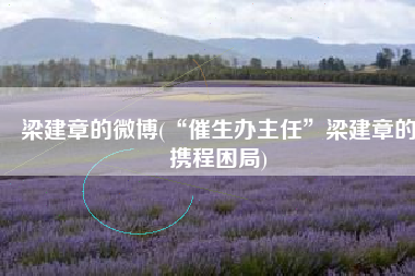 梁建章的微博(“催生办主任”梁建章的携程困局)