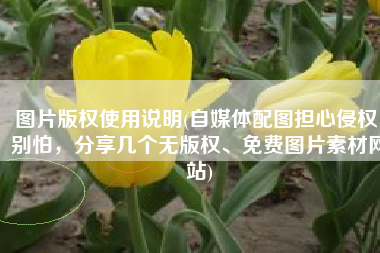 图片版权使用说明(自媒体配图担心侵权！别怕，分享几个无版权、免费图片素材网站)