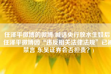 任泽平微博的微博(喊话央行放水生娃后，任泽平微博因“违反相关法律法规”已被禁言 东吴证券会否担责？)