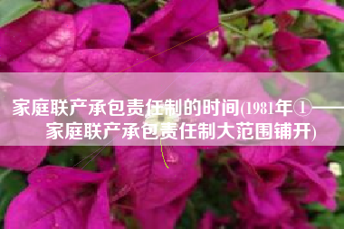 家庭联产承包责任制的时间(1981年①——家庭联产承包责任制大范围铺开)