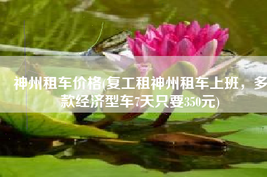 神州租车价格(复工租神州租车上班，多款经济型车7天只要350元)