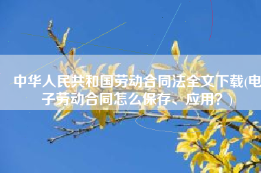 中华人民共和国劳动合同法全文下载(电子劳动合同怎么保存、应用？)
