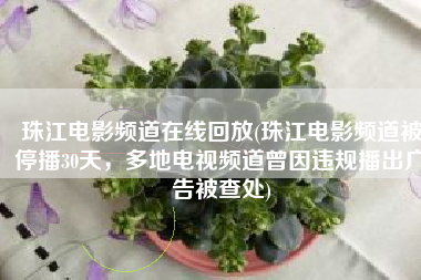 珠江电影频道在线回放(珠江电影频道被停播30天，多地电视频道曾因违规播出广告被查处)
