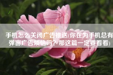 手机怎么关闭广告推送(你在为手机总有弹窗广告烦恼吗？那这篇一定要看看)