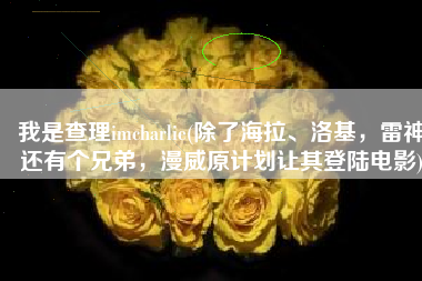 我是查理imcharlie(除了海拉、洛基，雷神还有个兄弟，漫威原计划让其登陆电影)