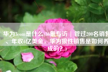 华为3com是什么(36氪专访 | 管过200名销售、年收6亿美金，华为狼性销售是如何养成的？)