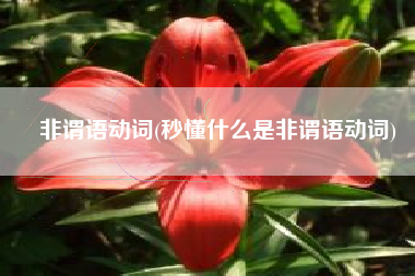 非谓语动词(秒懂什么是非谓语动词)