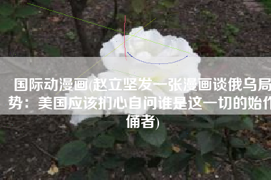 国际动漫画(赵立坚发一张漫画谈俄乌局势：美国应该扪心自问谁是这一切的始作俑者)