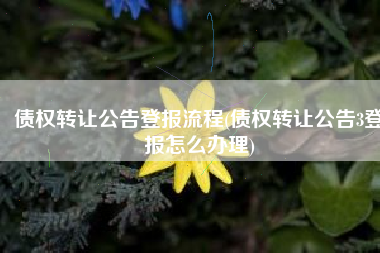 债权转让公告登报流程(债权转让公告3登报怎么办理)