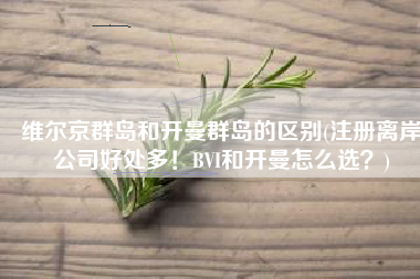 维尔京群岛和开曼群岛的区别(注册离岸公司好处多！BVI和开曼怎么选？)