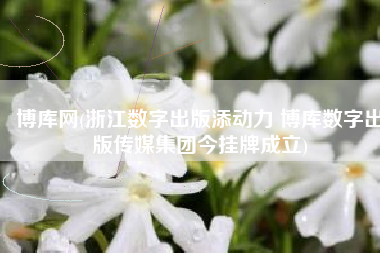 博库网(浙江数字出版添动力 博库数字出版传媒集团今挂牌成立)