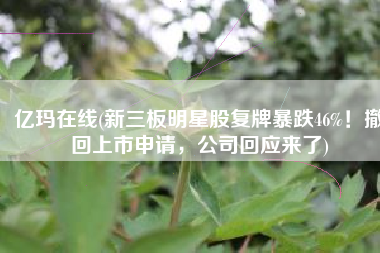 亿玛在线(新三板明星股复牌暴跌46%！撤回上市申请，公司回应来了)