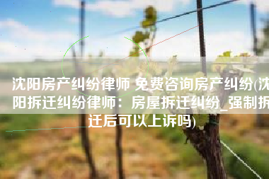 沈阳房产纠纷律师 免费咨询房产纠纷(沈阳拆迁纠纷律师：房屋拆迁纠纷_强制拆迁后可以上诉吗)