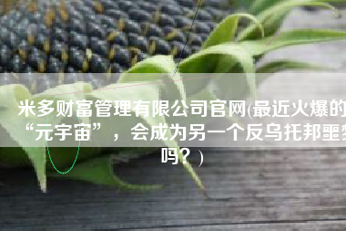 米多财富管理有限公司官网(最近火爆的“元宇宙”，会成为另一个反乌托邦噩梦吗？)