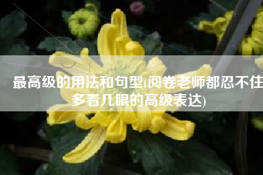 最高级的用法和句型(阅卷老师都忍不住多看几眼的高级表达)
