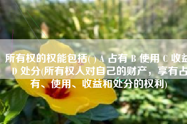 所有权的权能包括( ) A 占有 B 使用 C 收益 D 处分(所有权人对自己的财产，享有占有、使用、收益和处分的权利)