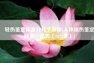 轻伤鉴定标准分几个等级(人体损伤鉴定标准一览表（2022年）)