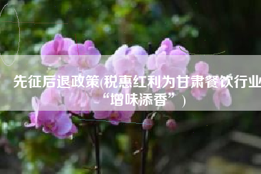 先征后退政策(税惠红利为甘肃餐饮行业“增味添香”)