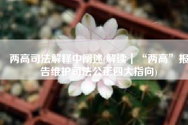 两高司法解释中阐述(解读｜“两高”报告维护司法公正四大指向)