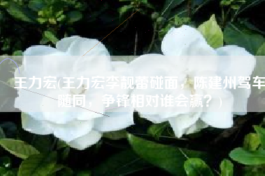 王力宏(王力宏李靓蕾碰面，陈建州驾车随同，争锋相对谁会赢？)