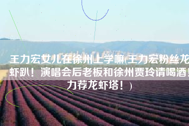 王力宏女儿在徐州上学嘛(王力宏粉丝龙虾趴！演唱会后老板和徐州贾玲请喝酒！力荐龙虾塔！)