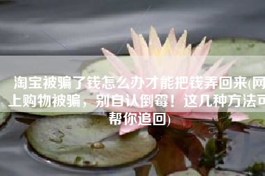 淘宝被骗了钱怎么办才能把钱弄回来(网上购物被骗，别自认倒霉！这几种方法可帮你追回)
