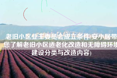 老旧小区业主委员会成立条件(安小居带您了解老旧小区适老化改造和无障碍环境建设分类与改造内容)