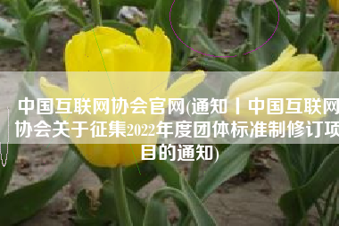 中国互联网协会官网(通知丨中国互联网协会关于征集2022年度团体标准制修订项目的通知)