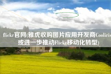 flickr官网(雅虎收购图片应用开发商Cooliris，或进一步推动Flickr移动化转型)