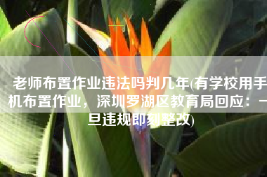 老师布置作业违法吗判几年(有学校用手机布置作业，深圳罗湖区教育局回应：一旦违规即刻整改)