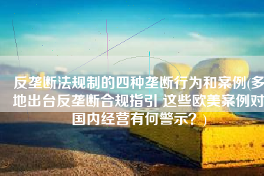 反垄断法规制的四种垄断行为和案例(多地出台反垄断合规指引 这些欧美案例对国内经营有何警示？)