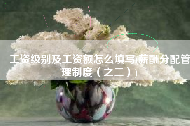 工资级别及工资额怎么填写(薪酬分配管理制度（之二）)