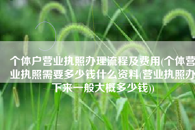 个体户营业执照办理流程及费用(个体营业执照需要多少钱什么资料(营业执照办下来一般大概多少钱))
