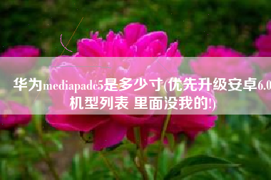 华为mediapadc5是多少寸(优先升级安卓6.0机型列表 里面没我的!)