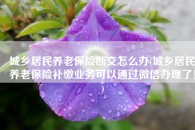 城乡居民养老保险断交怎么办(城乡居民养老保险补缴业务可以通过微信办理了！)