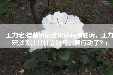 王力宏(德普诉前妻诽谤案刚胜诉，王力宏就关注其社交账号，要行动了？)