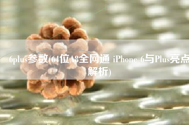 6plus参数(64位A8全网通 iPhone 6与Plus亮点解析)