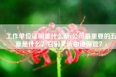 工作单位证明盖什么章(公司最重要的五章是什么？它们又该由谁保管？)