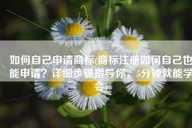 如何自己申请商标(商标注册如何自己也能申请？详细步骤指导你，5分钟就能学会)