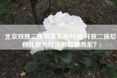 北京双独二孩政策实施时间(开放二孩后，婴儿潮为何没有如期而至？)