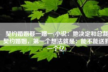 契约婚姻娶一赠一(小说：她决定和总裁契约婚姻，第一个想法就是：能不能送我一个亿)