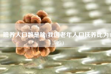 赡养人口数是啥(我国老年人口抚养比为19.70%)