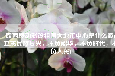 陕西移动彩铃祖国大地正中心是什么歌(立志民族复兴，不负韶华，不负时代，不负人民)