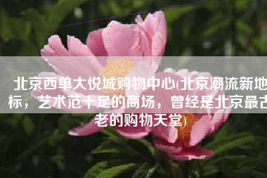 北京西单大悦城购物中心(北京潮流新地标，艺术范十足的商场，曾经是北京最古老的购物天堂)