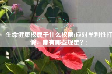 生命健康权属于什么权限(应对牟利性打假，都有哪些规定？)