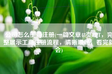 公司怎么工商注册(一篇文章48页PPT，完整展示工商注册流程，清晰顺畅，看完就会)